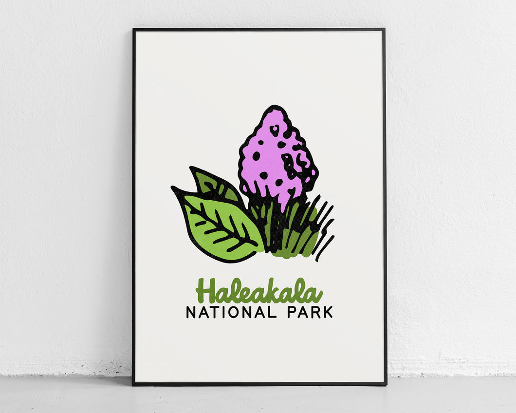 Haleakala National Park - Adventure Kids Decor