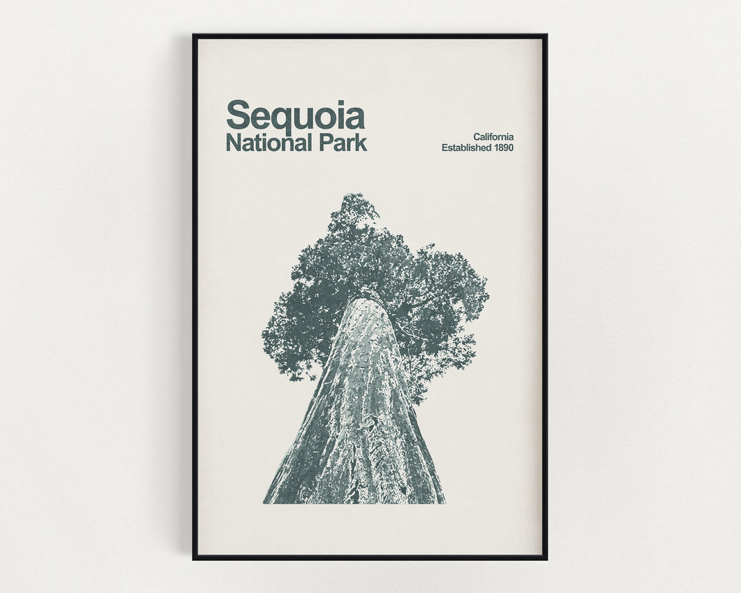 Sequoia National Park Poster - Minimalist Wall Art